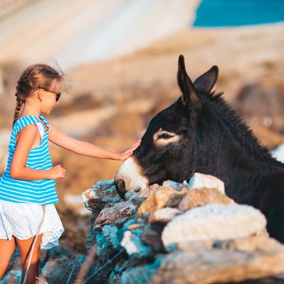 greecetours