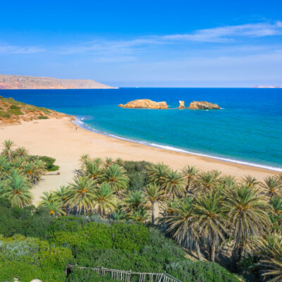 Scenic,Landscape,Of,Palm,Trees,,Turquoise,Water,And,Tropical,Beach,
